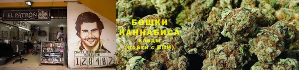 ПСИЛОЦИБИНОВЫЕ ГРИБЫ Алексеевка