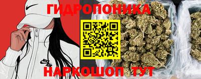 крисы Коммунар