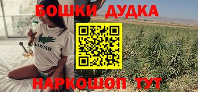 крисы Коммунар