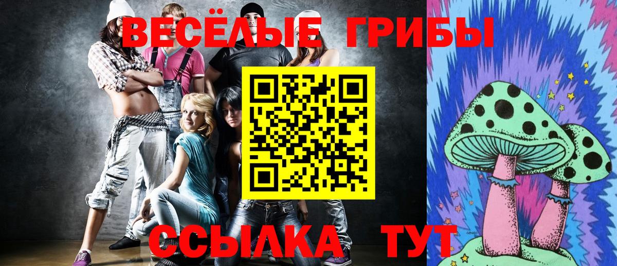 Псилоцибиновые грибы ЛСД  Вход с VPN  купить наркоту  Крымск 