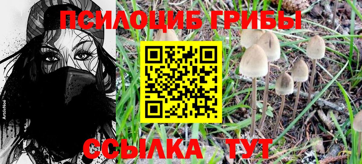 Галлюциногенные грибы Cubensis Крымск